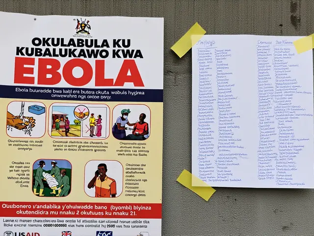SP investiga caso suspeito de ebola em imigrante; risco é baixo